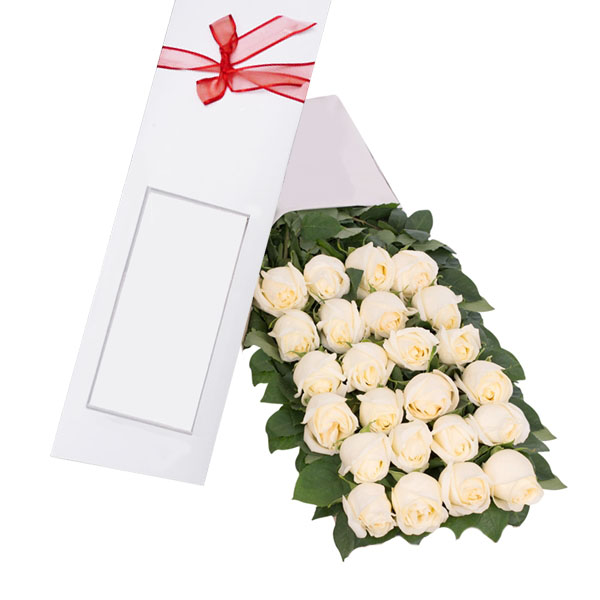 Caja de 24 Rosas Blancas 